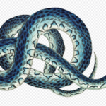 wise-as-serpents